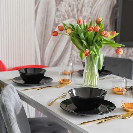 Na Lakach W Centrum Ustronia * ウストロン